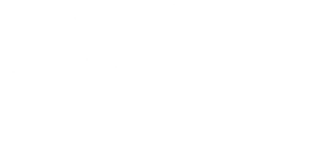 Logo officiel Drone Soccer utilisé pour les animations en Pays de la Loire